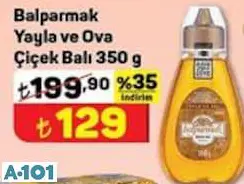 Balparmak Yayla Ve Ova Çiçek Balı 350 G