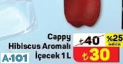 Cappy Hibiscus Aromalı İçecek 1 L