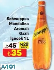 Schweppes Mandalina Aromalı Gazlı İçecek 1 L