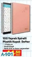 100 Yaprak Spirali Plastik Kapak Kareli/Çizgili Defter 17X24 Cm