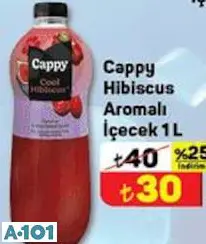 Cappy Hibiscus Aromalı İçeçek 1 I