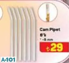 Cam Pipet 6'Lı 8 Mm