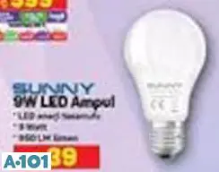 Sunny 9W Led Ampul