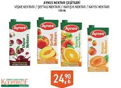 Aynes Nektar Çeşitleri 1000 Ml