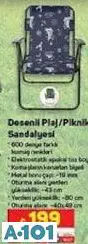 Desenli Plaj/Piknik Sandalyesi