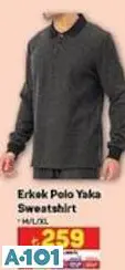 Erkek Polo Yaka Sweatshirt