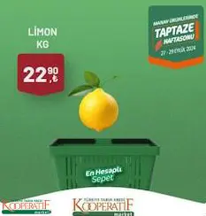 Limon Kg