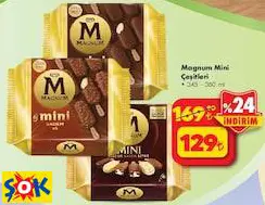 Magnum Mini Çeşitleri 345-360 Ml