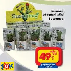 Sucummug Seramik Magnetli Mini