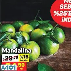 Mandalina kg