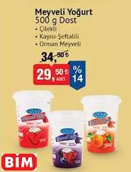 Dost Meyveli Yoğurt 500 G