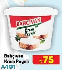 Bahçıvan Krem Peynir 500 G