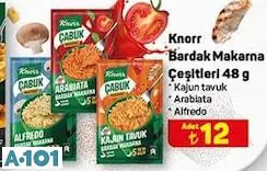 Knorr Bardak Makarna Çeşitleri 48 G