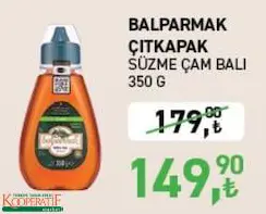 Balparmak Çıtkapak Süzme Çam Balı 350 G