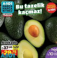 Avokado