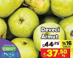 Deveci Armut