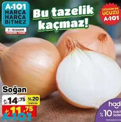 Soğan