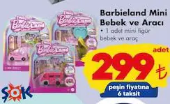 Barbieland Mini Bebek Ve Aracı Oyuncak