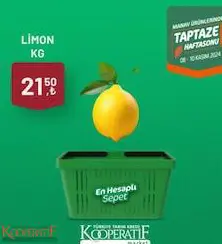 Limon Kg