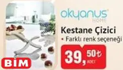 Okyanus Home Kestane Çizici