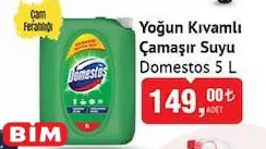 Domestos Yoğun Kıvamlı Çamaşır Suyu Çam Ferahlığı 5 L