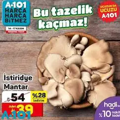 İstiridye Mantar/Adet