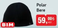 Polar Bere