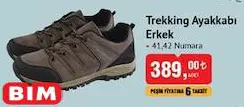 Trekking Ayakkabı Erkek