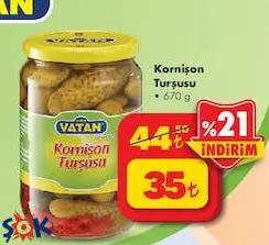 Bizim Vatan Kornişon Turşu 670 g