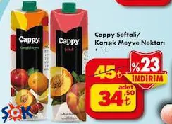 Cappy Şeftali/Karışık Meyve Nektarı 1 L