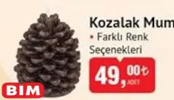 Kozalak Mum