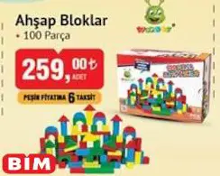 Woodoy Ahşap Bloklar 100 Parça