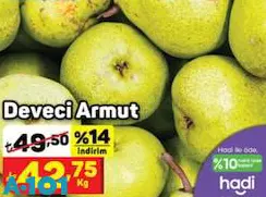 Deveci Armut Kg