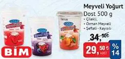 Dost Meyveli Yoğurt 500 G