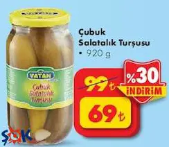 Bizim Vatan Çubuk Salatalık Turşusu 920 G