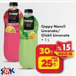 Cappy Naneli Limonata/Çilekli Limonata 1 L