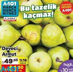 Deveci Armut Kg