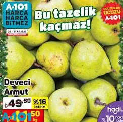 Deveci Armut Kg