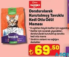 Kiwi Yammies Dondurularak Kurutulmuş Tavuklu Kedi Otlu Ödül Maması