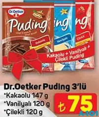 Dr.Oetker Puding 3'lü