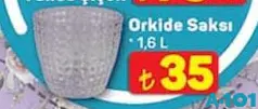 Orkide Saksısı 1,6 L