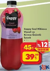 Coppy Cool Hibiscus Vişneli ve Kırmızı Üzümlü İçecek 1 L