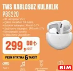 Polosmart TWS Kablosuz Kulaklık PBS220