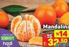 Mandalina kg