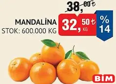 Mandalina kg