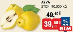 Ayva kg