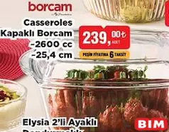 Paşabahçe Kapaklı Borcam