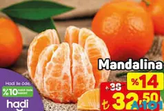 Mandalina Kg