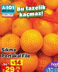 Sıkma Portakal File Kg