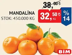 Mandalina Kg